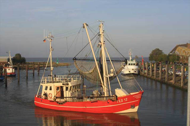 Fischerboot im Hafen von Butjadingen