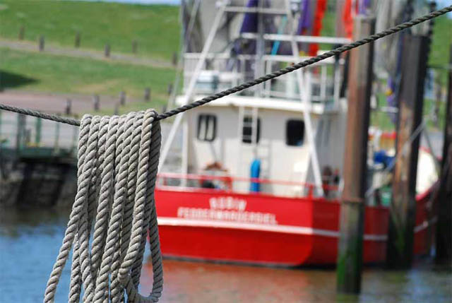 Fischkutter im Hafen von Fedderwardersiel