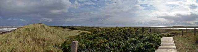 Dnen, Wangerooge