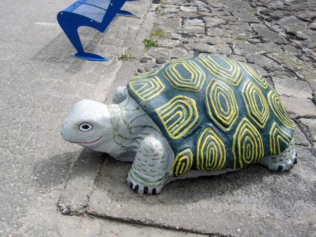 Schildkröte Strandcafe