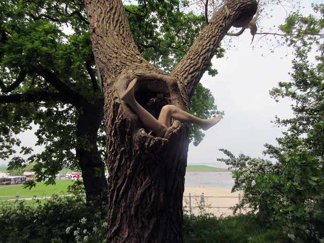 xxx Dangast