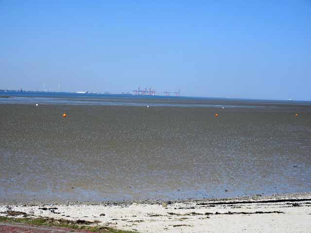 Wattenmeer Ebbe