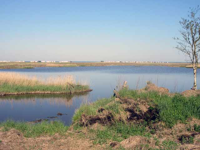 Moor-Blick Strand Sehestedt