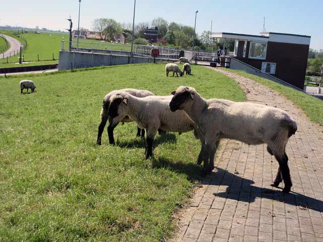 Schleusenansicht Varel